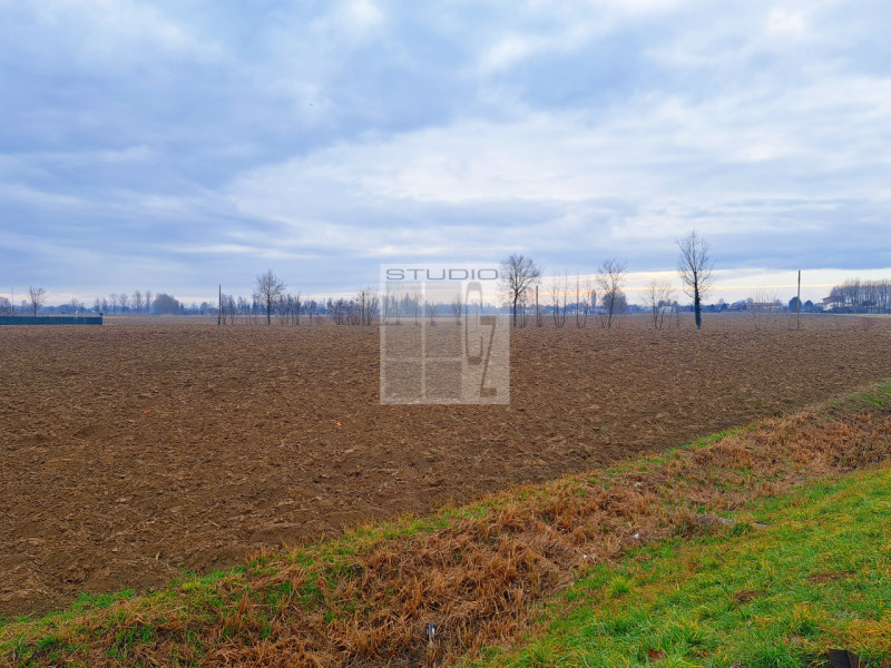 Proponiamo in vendita appezzamento di terreno REGOLARE, fronte strada.
Il terreno agricolo di cir...
