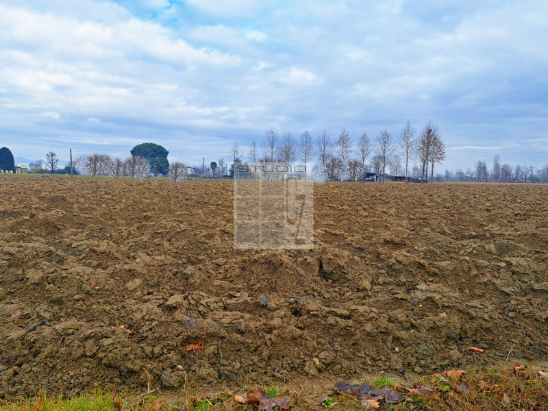 Proponiamo in vendita appezzamento di terreno REGOLARE, fronte strada.
Il terreno agricolo di cir...