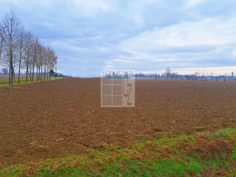 Proponiamo in vendita appezzamento di terreno REGOLARE, fronte strada.
Il terreno agricolo di cir...