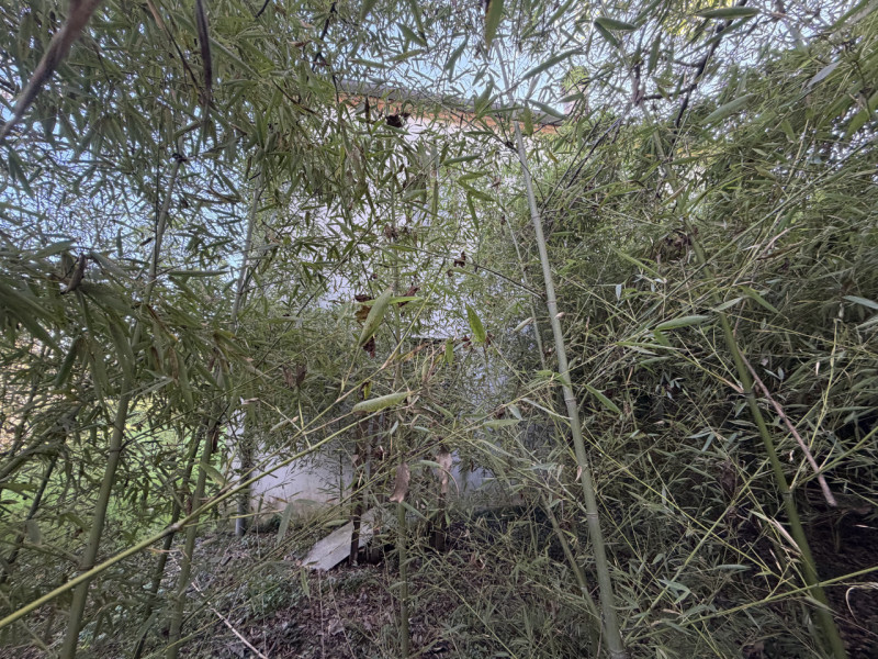 Nel cuore della campagna ai piedi dei Colli Euganei, nel comune di Torreglia, proponiamo abitazio...