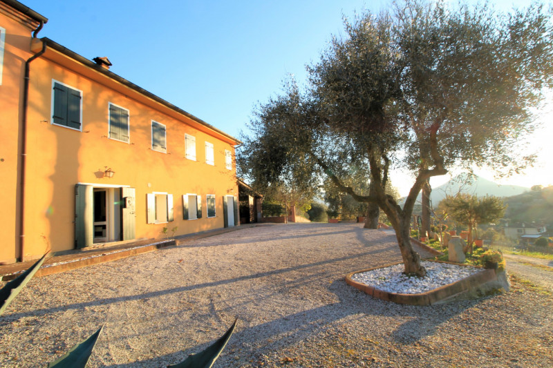 A Cinto Euganeo, in località Valnogaredo, proponiamo in vendita una splendida porzione di villett...