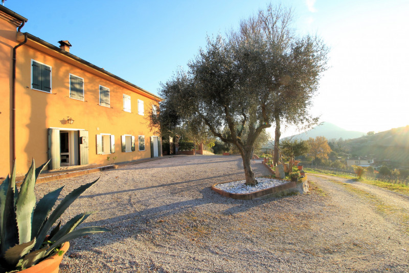 A Cinto Euganeo, in località Valnogaredo, proponiamo in vendita una splendida porzione di villett...