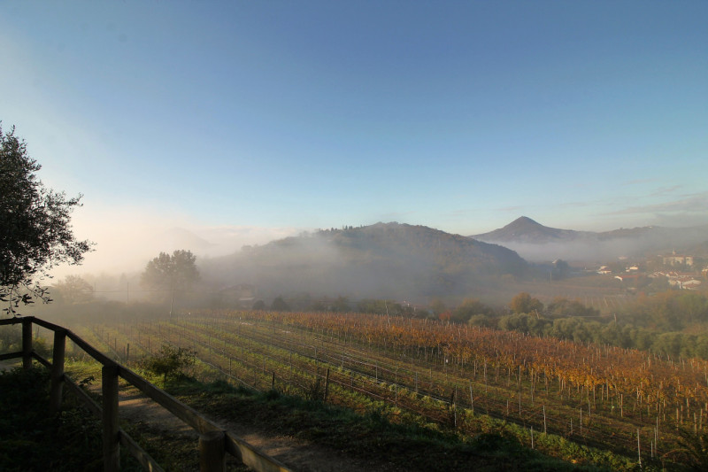 A Cinto Euganeo, in località Valnogaredo, proponiamo in vendita una splendida porzione di villett...