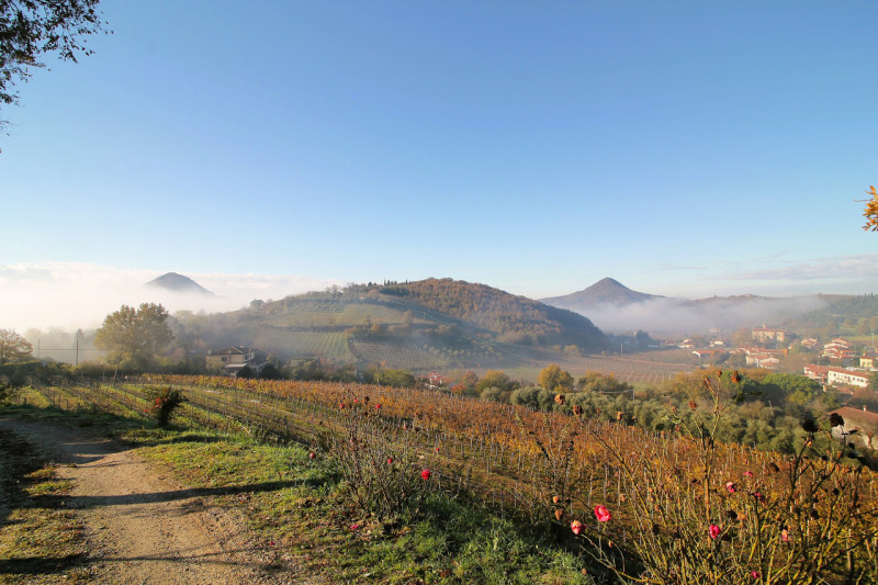 A Cinto Euganeo, in località Valnogaredo, proponiamo in vendita una splendida porzione di villett...