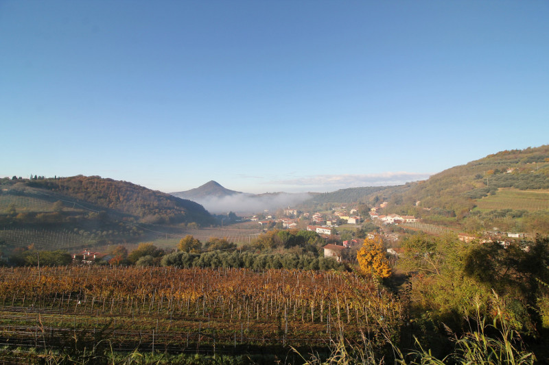 A Cinto Euganeo, in località Valnogaredo, proponiamo in vendita una splendida porzione di villett...