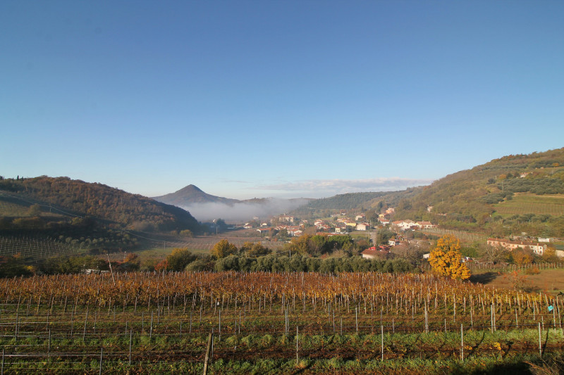 A Cinto Euganeo, in località Valnogaredo, proponiamo in vendita una splendida porzione di villett...