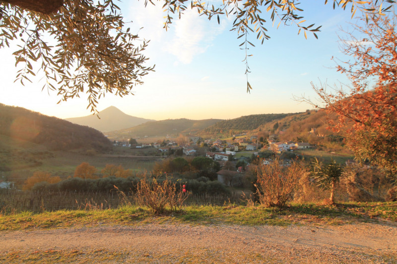 A Cinto Euganeo, in località Valnogaredo, proponiamo in vendita una splendida porzione di villett...