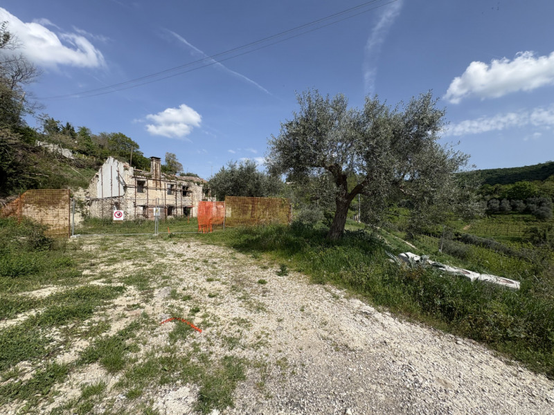 Situato a circa 130 mt d'altitudine, sulle pendici del Monte Venda, circondato da vigneti e olive...