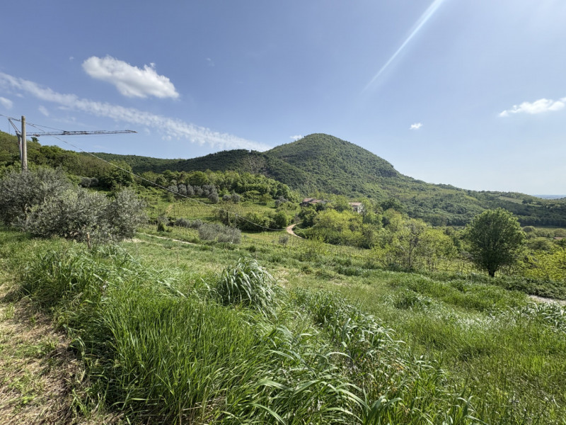 Situato a circa 130 mt d'altitudine, sulle pendici del Monte Venda, circondato da vigneti e olive...