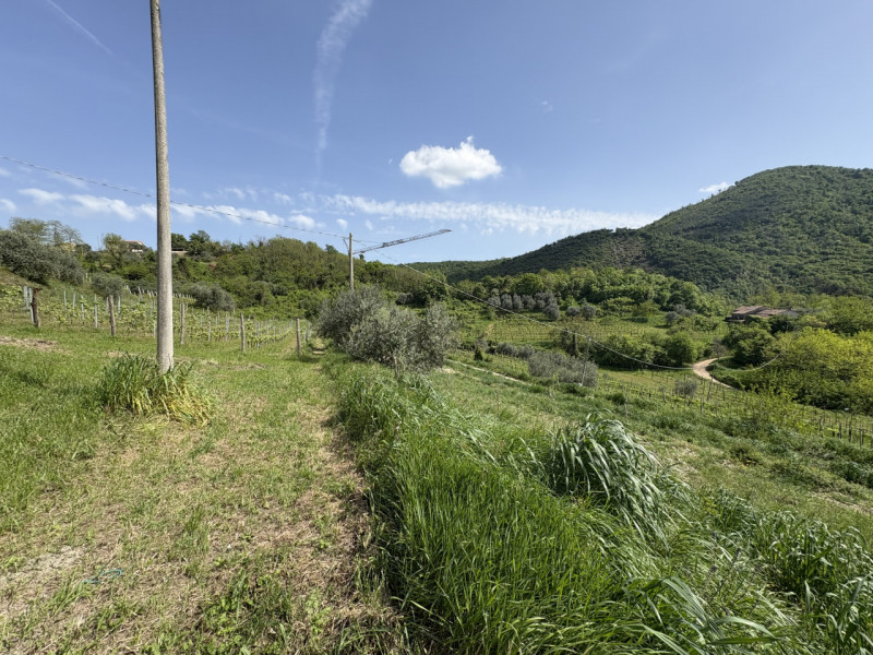 Situato a circa 130 mt d'altitudine, sulle pendici del Monte Venda, circondato da vigneti e olive...