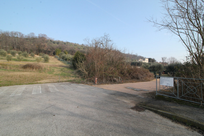 Arquà Petrarca: terreno edificabile di ca 490 mq, a 800 mt dalla chiesa di Arquà Petrarca.

All'i...
