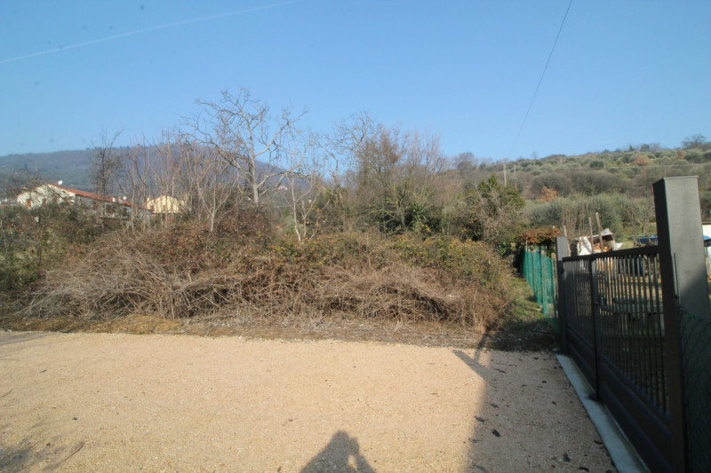 Arquà Petrarca: terreno edificabile di ca 490 mq, a 800 mt dalla chiesa di Arquà Petrarca.

All'i...