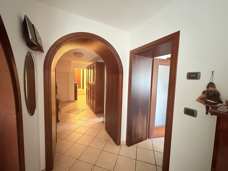 Nel cuore verde dei Colli Euganei, in una zona tranquilla e riservata, proponiamo in vendita una ...