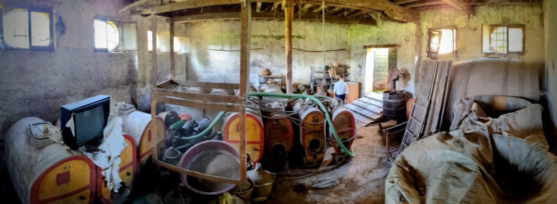 In posizione unica e suggestiva, immerso nel verde dei Colli Euganei, proponiamo in vendita un af...