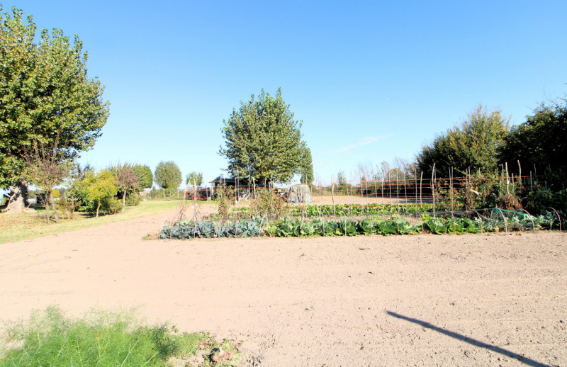 Monselice Vendita Terreno terreno edificabile residenziale