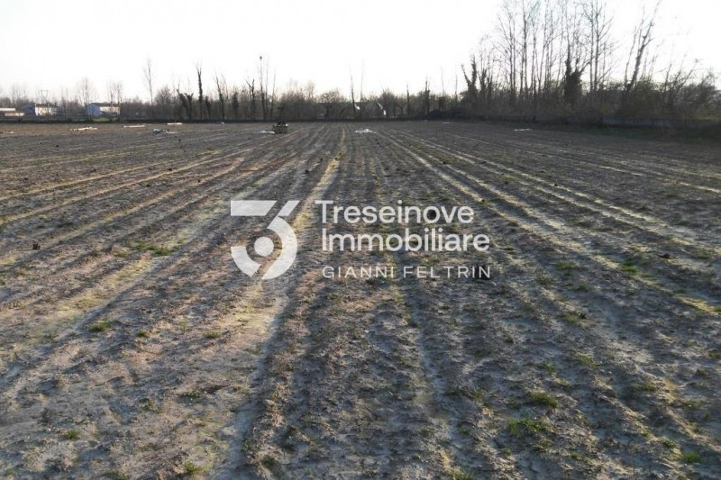 (Per INFO Feltrin ing. Gianni 3288349492) Proponiamo in vendita appezzamento di terreno agricolo ...