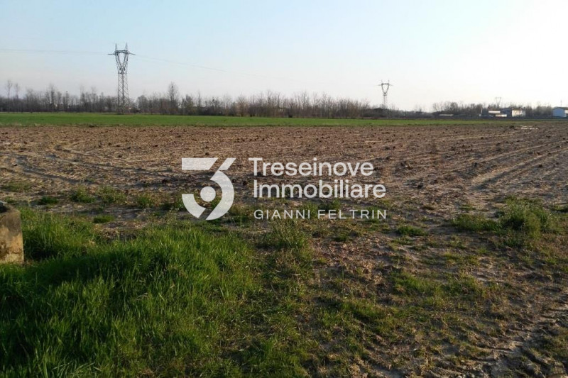 (Per INFO Feltrin ing. Gianni 3288349492) Proponiamo in vendita appezzamento di terreno agricolo ...