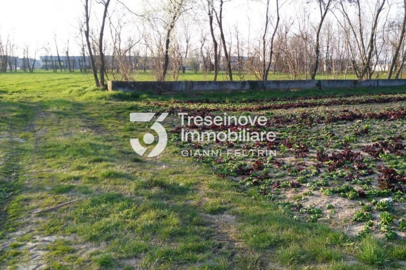 (Per INFO Feltrin ing. Gianni 3288349492) Proponiamo in vendita appezzamento di terreno agricolo ...