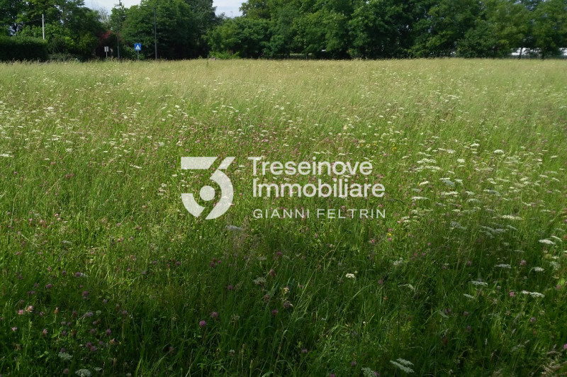 (Per INFO Feltrin ing. Gianni 3288349492) Proponiamo in vendita appezzamento di terreno agricolo ...