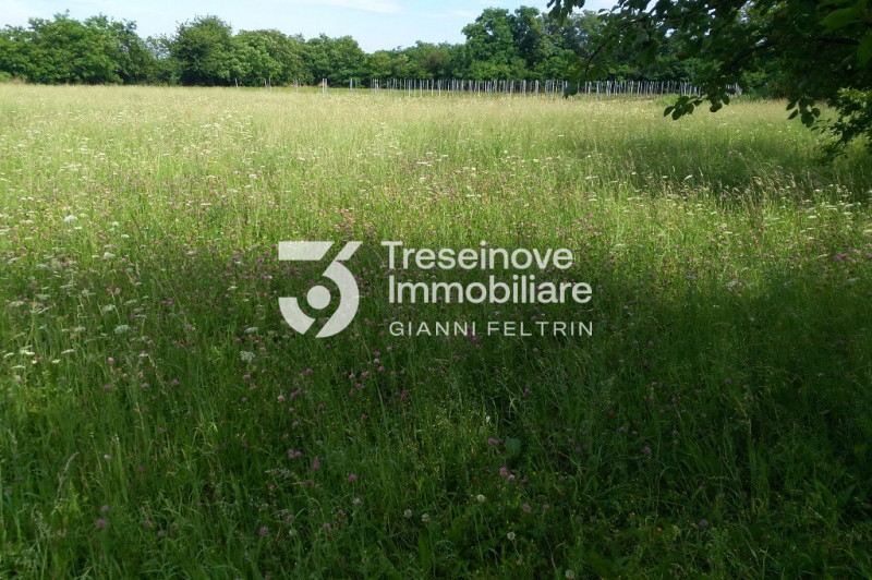 (Per INFO Feltrin ing. Gianni 3288349492) Proponiamo in vendita appezzamento di terreno agricolo ...