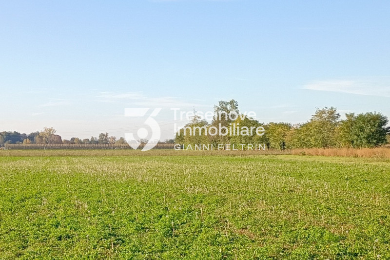 (Per INFO Feltrin ing. Gianni 3288349492) Proponiamo in vendita ampio terreno agricolo di 9581 mq...
