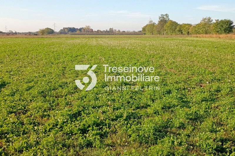 (Per INFO Feltrin ing. Gianni 3288349492) Proponiamo in vendita ampio terreno agricolo di 9581 mq...