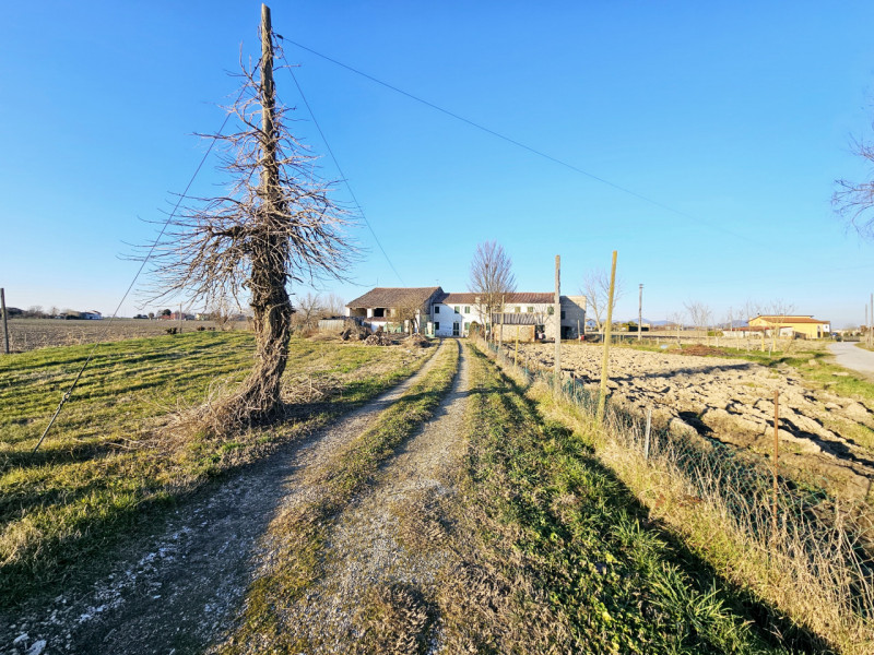 Proponiamo in vendita a Villa Estense, compendio immobiliare da ristrutturare, immerso nel verde ...