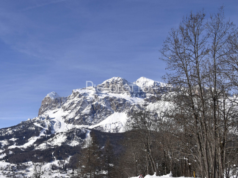 Rif. A5216 - Cortina d'Ampezzo, splendido chalet in perfette condizioni, completamente arredato e...