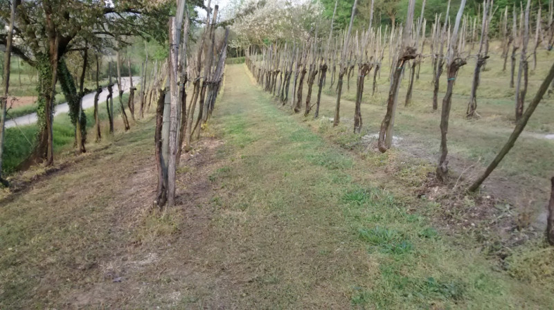 Se stai cercando un'opportunità unica nel cuore della natura, questa proprietà ubicata nel comune...