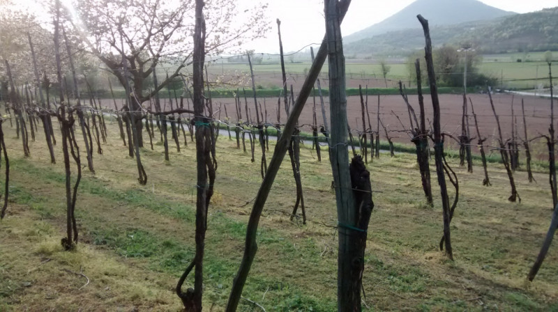 Se stai cercando un'opportunità unica nel cuore della natura, questa proprietà ubicata nel comune...