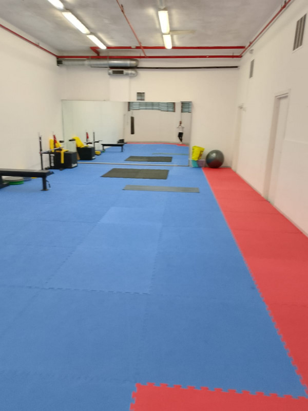 Palestra in Vendita a Venaria Reale