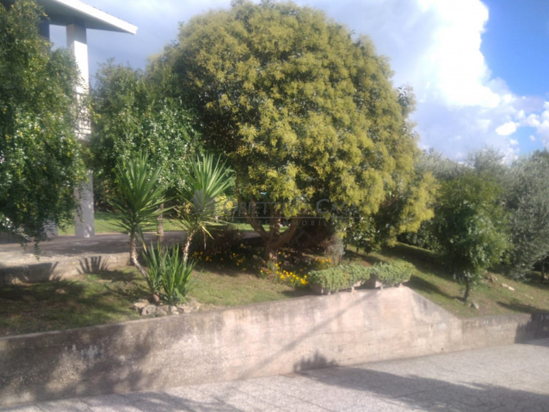 LA199 – Lozzo Atestino (Parco Colli Euganei)

Casa Indipendente Abitabile con Ampio Terreno (3.80...