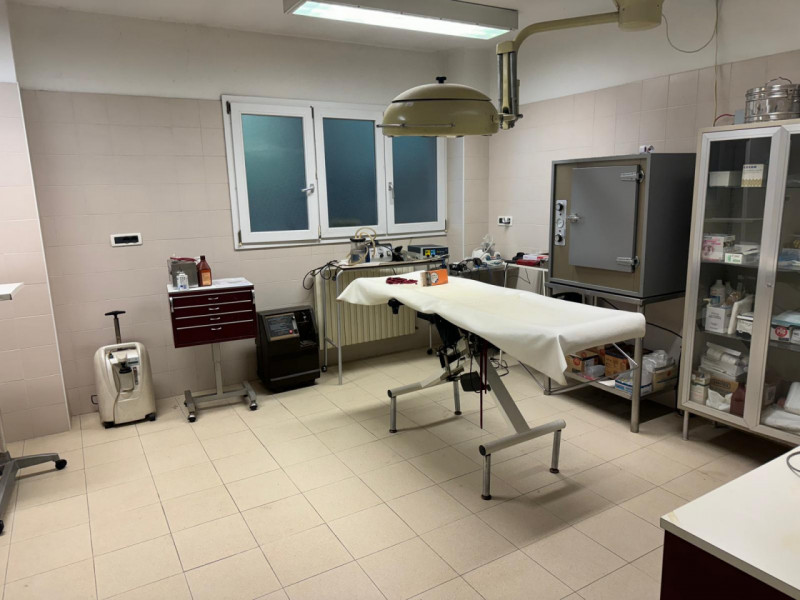 CHIESANUOVA: Affittasi in contesto indipendente interessante porzione di casa attualmente attrezz...