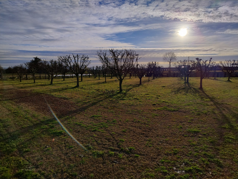 Nel tranquillo contesto di San Bortolo, nel comune di Monselice, è disponibile una bifamiliare. L...