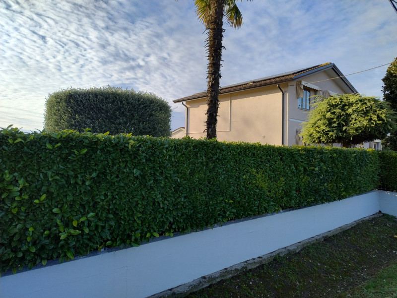 Nel tranquillo contesto di San Bortolo, nel comune di Monselice, è disponibile una bifamiliare. L...