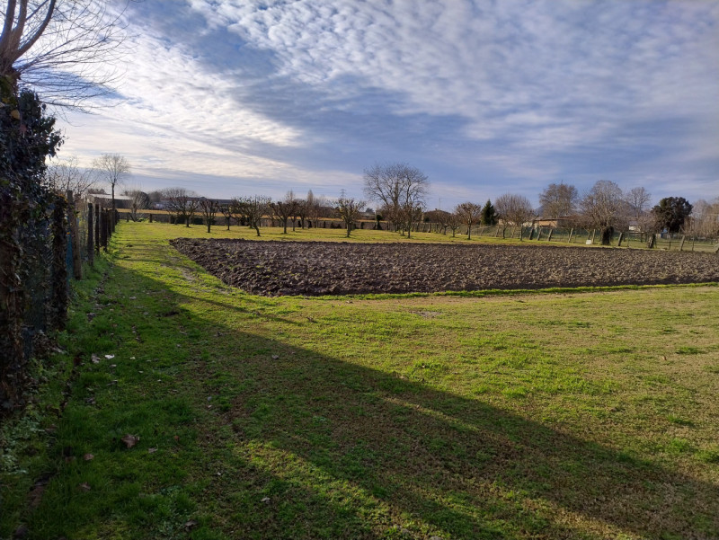 Nel tranquillo contesto di San Bortolo, nel comune di Monselice, è disponibile una bifamiliare. L...