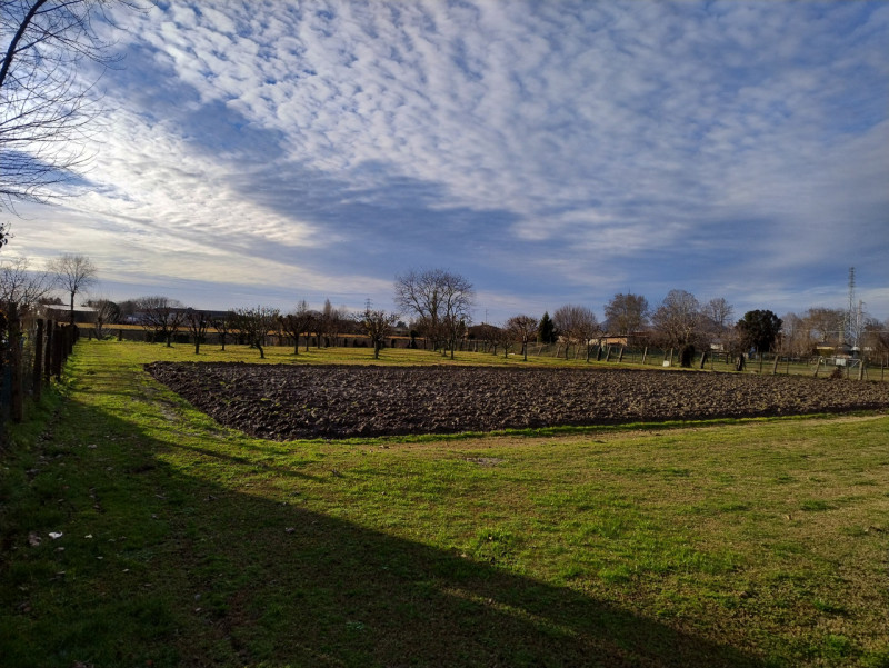Nel cuore della tranquilla zona residenziale di San Bortolo, nel comune di Monselice, proponiamo ...