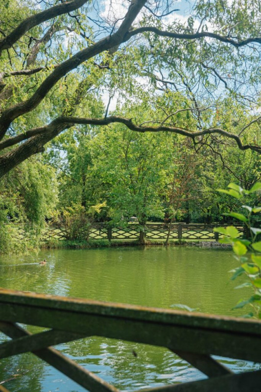 Nel cuore della città termale di Abano, a due passi dalla zona pedonale, proponiamo in esclusiva ...