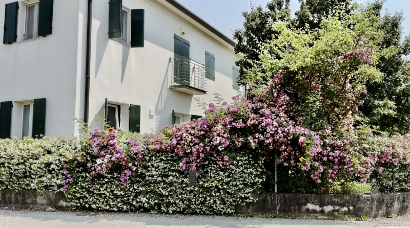 (Per INFO 3316190143) A Vedelago, immersi nel verde del Parco del Sile, in zona prestigiosa e mol...