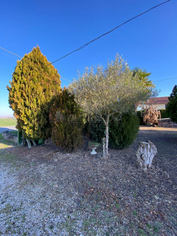 Rif. BOV189 - Proponiamo in vendita una casa singola a Bovolenta, divisa orizzontalmente in 2 uni...