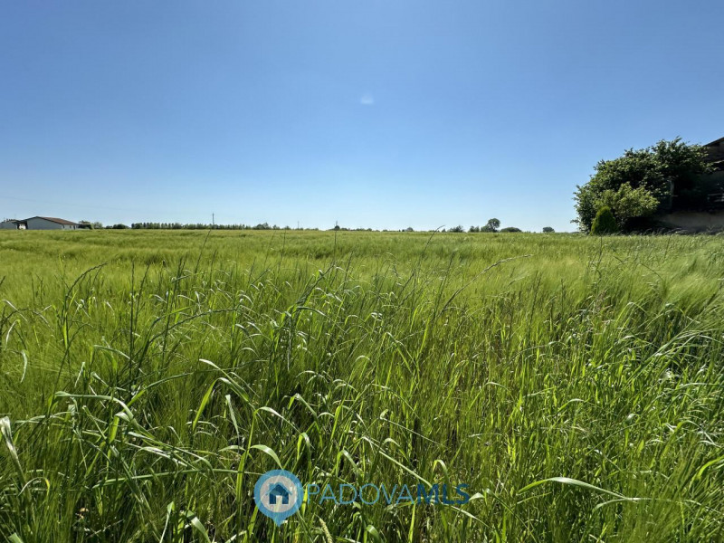RUSTICO CON TERRENO AGRICOLO A CASALSERUGO €.250.000 - rif.1691

Il rustico in vendita a Casalser...