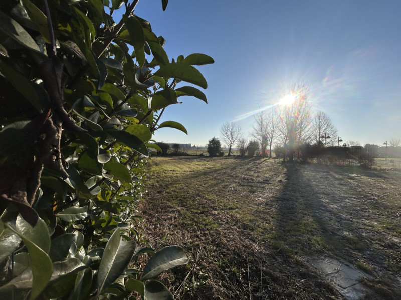 Nel cuore della campagna veneta, Campodoro rappresenta una realtà tranquilla e affascinante, un p...