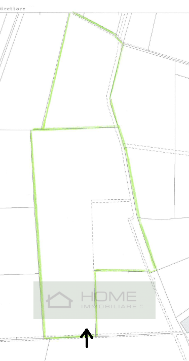 In vendita terreno agricolo seminativo di circa 39.176 mq (10 campi padovani), situato nella camp...