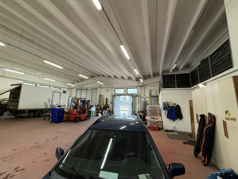 Rif. S398 - Proponiamo in vendita nel comune di Solesino un magazzino di 340 mq circa con piazzal...