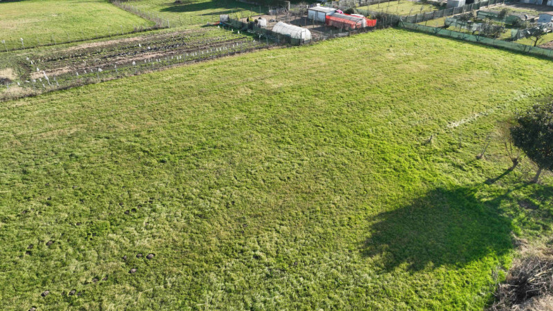 Rif. S398 - Proponiamo in vendita nel comune di Solesino un magazzino di 340 mq circa con piazzal...