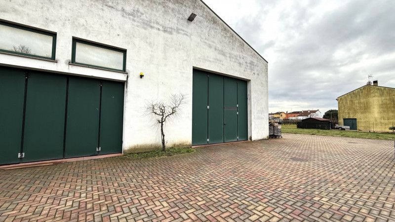 Rif. S398 - Proponiamo in vendita nel comune di Solesino proprietà composta da casa indipendente ...