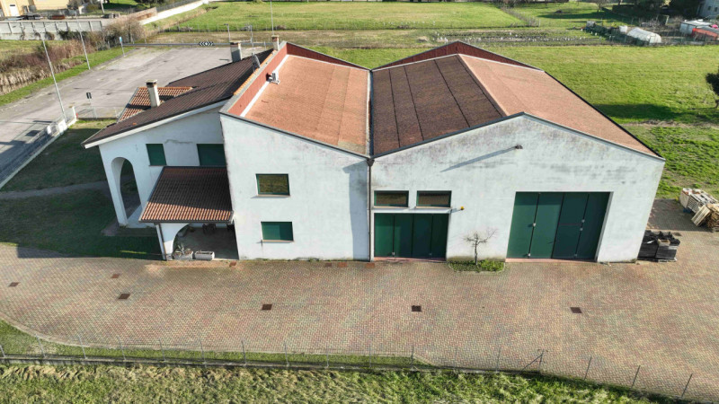 Rif. S398 - Proponiamo in vendita nel comune di Solesino proprietà composta da casa indipendente ...