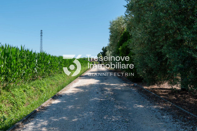 (Per INFO Simone G. 3298777518) San Donà di Piave, zona Argine Destro, NOSTRA ESCLUSIVA, proponia...