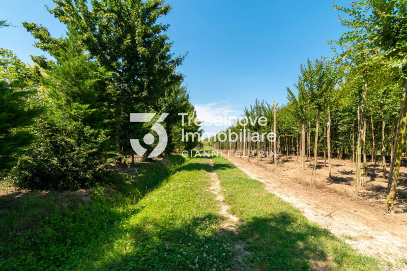 (Per INFO Simone G. 3298777518) San Donà di Piave, zona Argine Destro, NOSTRA ESCLUSIVA, proponia...