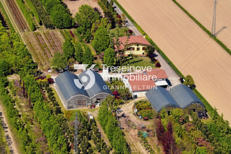 (Per INFO Simone G. 3298777518) San Donà di Piave, zona Argine Destro, NOSTRA ESCLUSIVA, proponia...